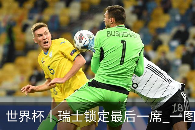 世界杯丨瑞士锁定最后一席 一图速览世界杯8强