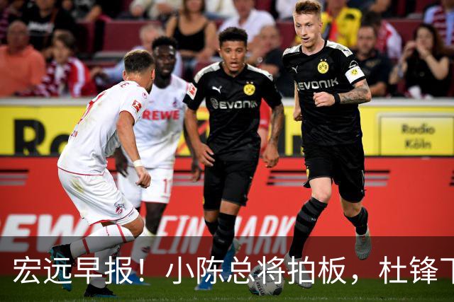 宏远早报！小陈总将拍板，杜锋下课官宣敲定时间，奎因去留未定！