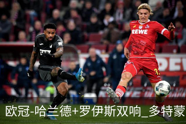 欧冠-哈兰德+罗伊斯双响 多特蒙德5-0大胜进欧联