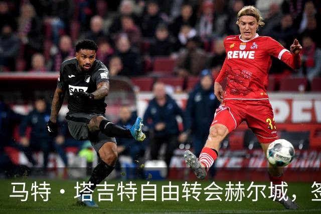 马特·塔吉特自由转会赫尔城，签约两年加一年选项