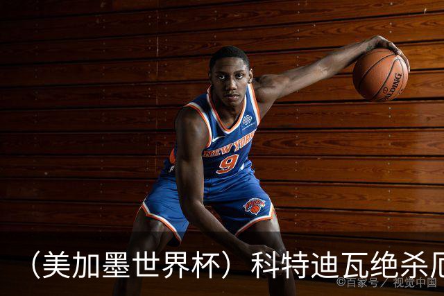 （美加墨世界杯）科特迪瓦绝杀厄瓜多尔 瑞典5:1大胜突尼斯